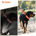 Mayerzon Martingale No Pull Collar for Medium Large Dogs | Orange, L | Patented Anti Pull Dog Collar with Buckle for Walking Training, Reflective Stitching, Neoprene Padding, Adjustable, Sturdy