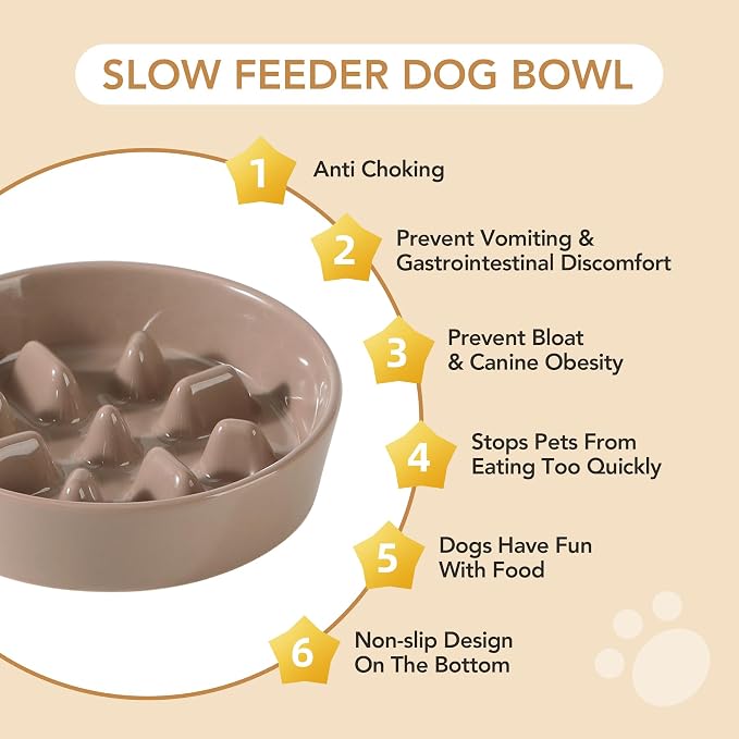 Havniva Slow Feeder Dog Bowls, Ceramic Dog Bowl Slow Feeder for Fast Eater | 0.9 Cups Puzzle Dog Food Bowl, Slow Feeding Bowls for Small Breed, Non-Slip Rubber Base, Anti-Choking