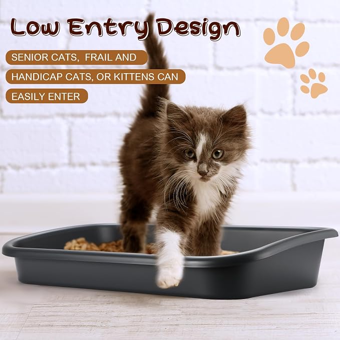 Uiifan 3 Pcs Extra Large Low Entry Cat Litter Box for Senior Kitty Pet Open Top Litter Box for Senior Kitten Handicap Disabled Older Elderly Cats, Easy to Clean(Dark Gray,23.2 x 16.5 x 4.3 Inches)