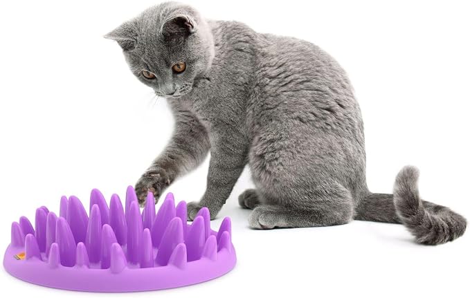 Company of Animals Catch Interactive Cat Slow Feeder | Slow Feeder Cat Bowl, Gobble Stopper, Mental Stimulation Cat Puzzle Game, Suitable for Kittens & Small, Medium & Large Cats