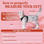 rabbitgoo Cat Harness and Leash Set, Escape Proof Vest, Black | Soft Breathable Mesh, Easy Adjustable Fit, Snap Buckles, Sturdy Clip, Reflective Strips, for Average Cats Walks, S