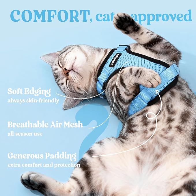 rabbitgoo Cat Harness and Leash Set, Escape Proof Vest, Light Blue | Soft Breathable Mesh, Easy Adjustable Fit, Snap Buckles, Sturdy Clip, Reflective Strips, for Kittens & Small Cats Walks, Xxs