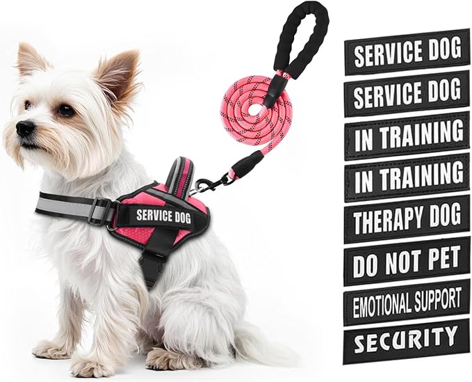 Service Dog Vest Harness and Leash Set, Animire in Training Dog Harness with 10 Dog Patches, Reflective Dog Leash with Soft Padded Handle for Small, Medium, Large, and Extra-Large Dogs