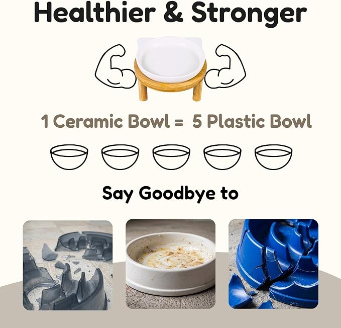 Elevated Ceramic Cat Bowls with Bamboo Stand for Cat Bowl, Whisker Friendly Shallow Cat Plate, Stable Raised Cat Food Riser for Indoor Cats (White, Set of 1)