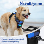 rabbitgoo Dog Harness, No Pull for Small Dogs with 2 Leash Clips, Pet Vest | No Choke with Handle, Adjustable Soft Padded, Reflective, Easy Control for Walking, Blue Plaid, Small