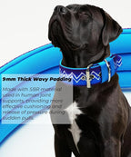 Dog Collar for Large Dogs,2 in Wide Heavy Duty,Pressure-Relief Padded, D-L | Professional Protection for Large and Giant Breeds,Handle for Control,Stainless Steel Buckle Ultra Safety,23-26 in