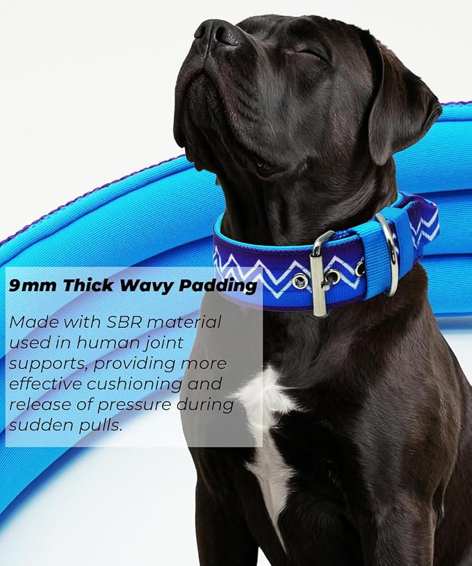 Dog Collar for Large Dogs,2 in Wide Heavy Duty,Pressure-Relief Padded, D-M | Professional Protection for Large and Giant Breeds,Handle for Control,Stainless Steel Buckle Ultra Safety,20-23 in