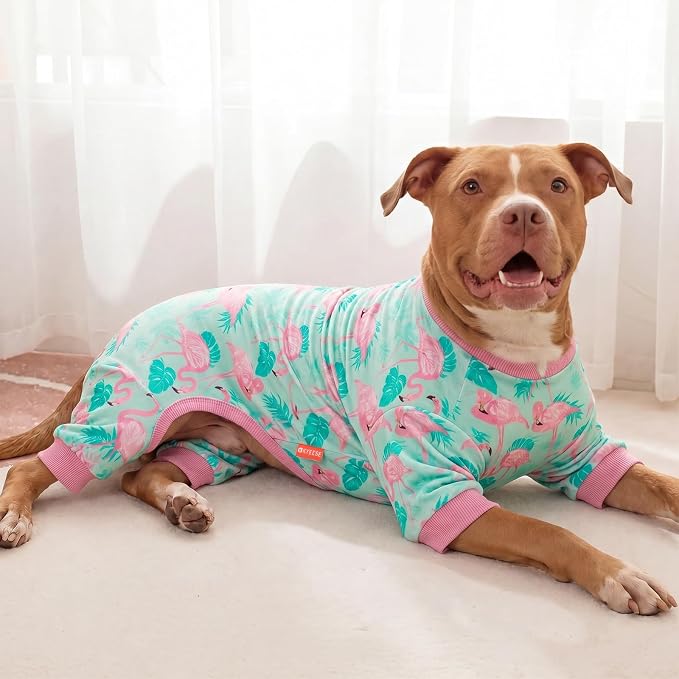 KYEESE Velvet Dog Pajamas Soft Onesie Shirt for Daily Wear, Flamingo | 4-Way Stretch, Lightweight & Breathable, Reduces Shedding, Gentle on Sensitive Skin, Recovery Support, Easy Potty Breaks