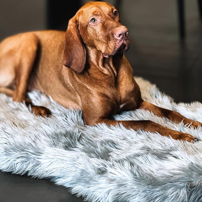 Faux Fur Orthopedic Dog Bed, Memory Foam, Grey 50"x30" | Plush Washable Dog Rug with Waterproof Machine Washable Cover, Calming for Anxious Senior Dogs, Relieves Joints