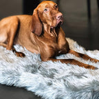 Faux Fur Orthopedic Dog Bed, Memory Foam, Grey 50"x30" | Plush Washable Dog Rug with Waterproof Machine Washable Cover, Calming for Anxious Senior Dogs, Relieves Joints