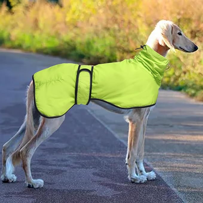 Greyhound Whippet Raincoat Waterproof with Reflective Stripe high Neck fit for Italian Greyhounds Whippets Long Back Breeds - Light Green - L