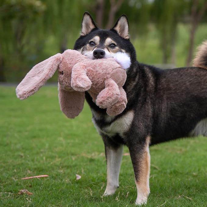 Best Pet Supplies Interactive Squeaky Dog Chew Toy, Ideal Dog Toys for Chewers, Small, Medium & Large Dogs, and Fetch Lovers - Bunny (Mauve), Small