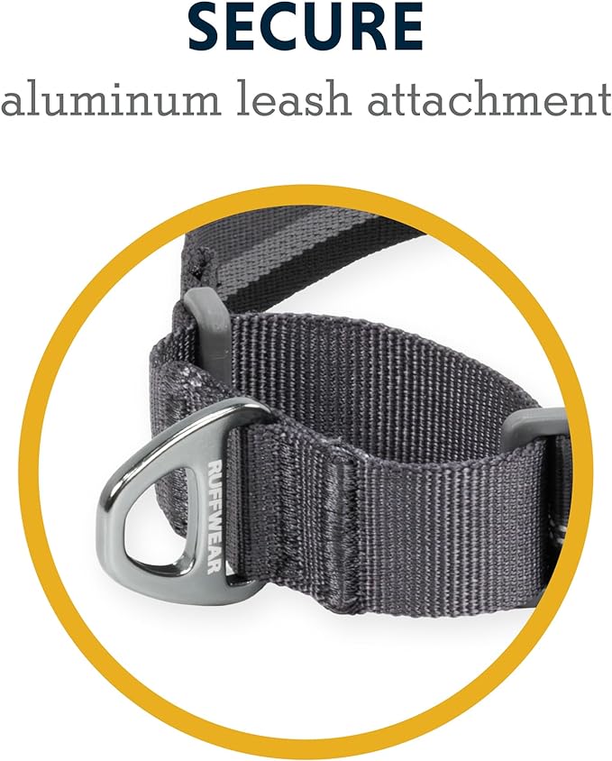 Ruffwear, Web Reaction Dog Collar, Escape-Proof Security Buckle, Adjustable Anti-Slip Martingale Collar with Durable Nylon Tubelok Webbing & Silent ID Attachment, Basalt Gray, 20"-23"