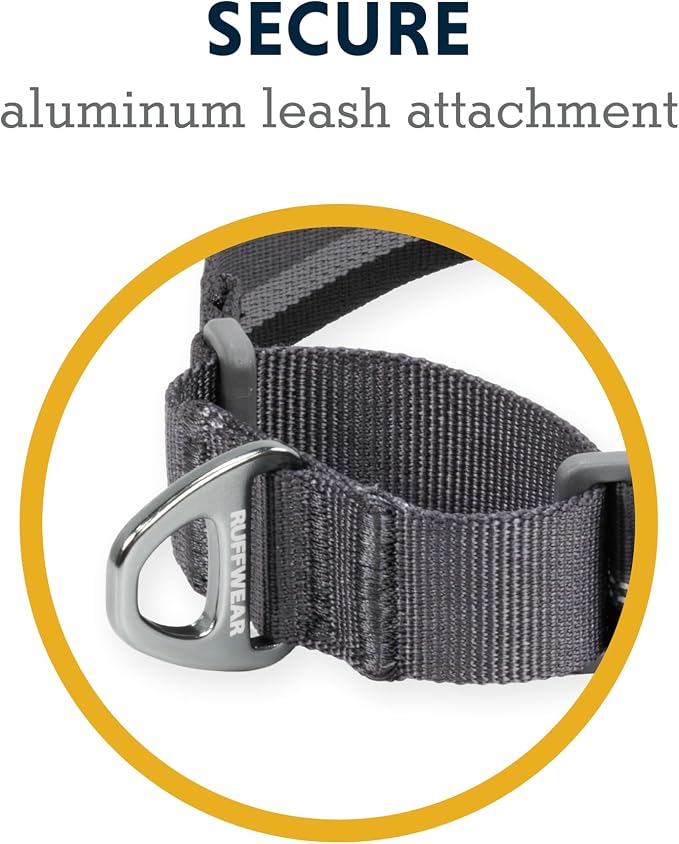 Ruffwear, Web Reaction Dog Collar, Escape-Proof Security Buckle, Adjustable Anti-Slip Martingale Collar with Durable Nylon Tubelok Webbing & Silent ID Attachment, Basalt Gray, 23"-26"