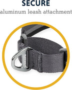 Ruffwear, Web Reaction Dog Collar, Escape-Proof Security Buckle, Adjustable Anti-Slip Martingale Collar with Durable Nylon Tubelok Webbing & Silent ID Attachment, River Rock Green, 14"-17"