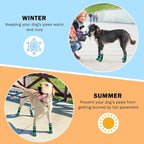 SCENEREAL Anti Slip Dog Socks to Prevent Licking Paws, Dog Shoes for Hot/Cold Pavement, Paw Protector Traction Control on Hardwood Floor, Dog Shoes Booties for Puppy Small Medium Large Senior Dogs