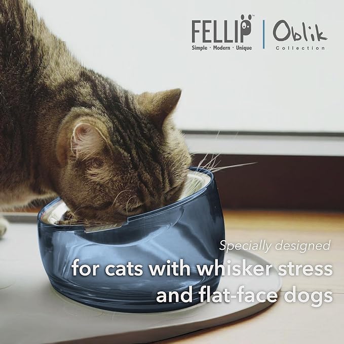 Felli Pet Oblik Whisker Fatigue Cat Food Bowl Raised Stainless Steel Shallow Dish, Pet Design Anti Vomit Tilted Metal Plate Feeder Elevated Acrylic Base (Shadow, 0.5 Cups Shallow Dish)