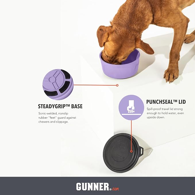 Dog Bowl with Spill-Proof Travel Lid, Lavender, 7-Cup Travel Bowl | Lavender 7-Cup Dog Bowl, Spill-Proof Travel Lid, BPA-Free, Rust-Proof, Shock-Resistant, Stackable and Dishwasher Safe