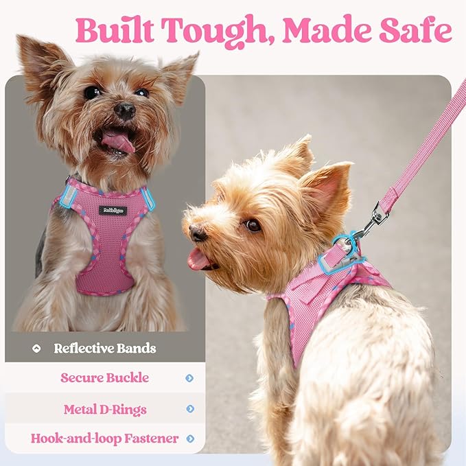 rabbitgoo Dog Harness Medium Sized and Leash Set, Step-in Puppy Pet Vest | Light, Soft, Breathable Air Mesh, Easy on and Remove with Hook & Loop, Secure Reflective for Walking, Pink & Plaid Trim L