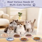 6 Pack Cat Food Bowl, Ceramic Cat Bowls, Anti Whisker Fatigue Cats Bowl Set | 5.5 Inches Shallow Wide Kitten Plates for Food and Water (CaiSe-A)