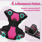 rabbitgoo Dog Harness No Pull with 2 Leash Clips, Adjustable Soft Padded, Reflective Oxford No Choke Pet Vest with Easy Control Handle for Puppy, Hot Pink, XS | No Choke with Handle, Adjustable Soft Padded, Reflective, Easy Control for Walking, Hot Pin...