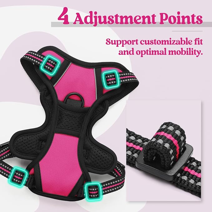 rabbitgoo Dog Harness No Pull with 2 Leash Clips, Adjustable Soft Padded, Reflective Oxford No Choke Pet Vest with Easy Control Handle for Puppy, Hot Pink, XS | No Choke with Handle, Adjustable Soft Padded, Reflective, Easy Control for Walking, Hot Pin...