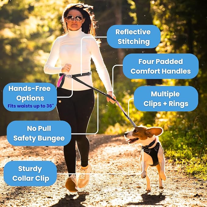Heavy Duty Dog Leash for Large Dogs – 6FT Reflective Bungee with Padded Handles, Strong Carabiner Clip, No Pull Control for Medium & Large Breeds, Includes Poop Bag Holder & Treat Pouch (Purple-Blue)