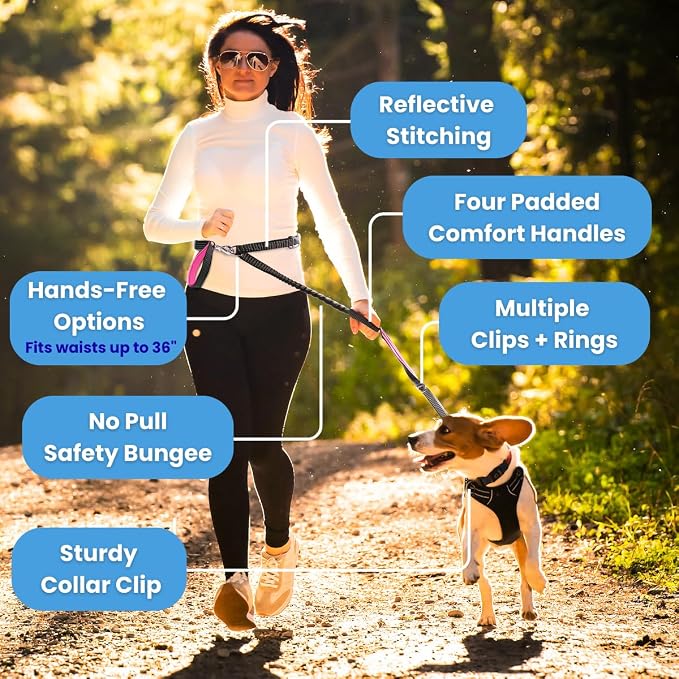 Heavy Duty Dog Leash for Large Dogs – 6FT Reflective Bungee with Padded Handles, Strong Carabiner Clip, No Pull Control for Medium & Large Breeds, Includes Poop Bag Holder & Treat Pouch (Royal Blue)