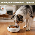 Karibiber Marble Dog Bowl, 5lbs Non-Slip Cat and Dog Food Bowl Dish, Non-Tipping Weighted Puppy Pet Dish, Grey Stone Durable Food and Water Bowls, Easy to Clean, Holds 4 Cups