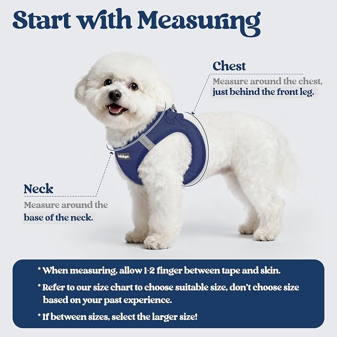 rabbitgoo Dog Harness Small Sized and Leash Set, Step-in Puppy Pet Vest | Light, Soft, Breathable Air Mesh, Easy on and Remove with Hook & Loop, Secure Reflective for Walking, Navy Blue XXXS