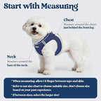 rabbitgoo Dog Harness Small Sized and Leash Set, Step-in Puppy Pet Vest | Light, Soft, Breathable Air Mesh, Easy on and Remove with Hook & Loop, Secure Reflective for Walking, Navy Blue XXXS