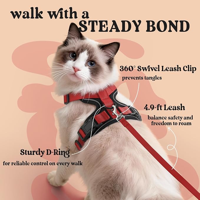 rabbitgoo Cat Harness and Leash Set, Escape Proof Vest, Black & Red | Soft Breathable Mesh, Easy Adjustable Fit, Snap Buckles, Sturdy Clip, Reflective Strips, for Medium to Large Cats Walks, M