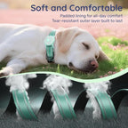 Airtag Dog Collar, Reflective Ultra-Durable Nylon Padded with QR Code Buckle & IP68 Waterproof Air Tag Holder Compatible for Apple AirTag, Comfortable for Small Medium Large Dogs(Green,L)