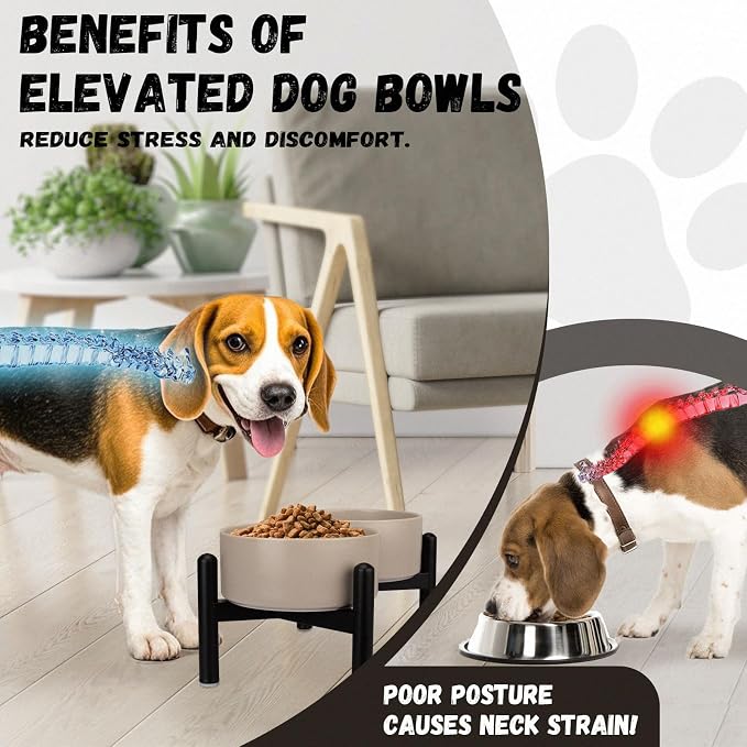 Raised Ceramic Dog Bowl Set with Stand, 3.5 Cups Elevated Dog Food Stand | 6.1'' Double Dog Food and Water Bowl Set, Non-Slip Dog Feeding Dishes for Small to Medium Breeds, 29.57 OZ, White