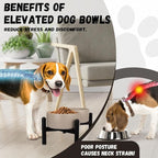 Raised Ceramic Dog Bowl Set with Stand, 3.5 Cups Elevated Dog Food Stand | 6.1'' Double Dog Food and Water Bowl Set, Non-Slip Dog Feeding Dishes for Small to Medium Breeds, 29.57 OZ, Black