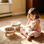 6 Inch Shallow Ceramic Elevated Cat Bowl, Whisker-Friendly Raised Flat Cat Food Plate Feeding Station with Bamboo Stand for Indoor Cats and Kittens (Single, 1.8" Stand, White)