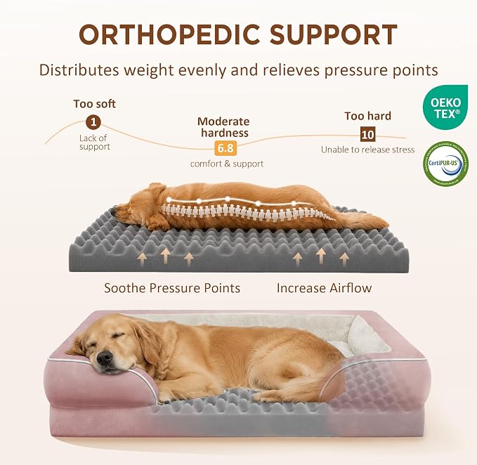 Comfort Expression Orthopedic Dog Bed for Extra Large Dogs with Bolster | Waterproof Dog Couch Bed with Washable Cover & Non-Slip Bottom, Supportive Egg Crate Foam XL Pet Bed, 45x35 Inch