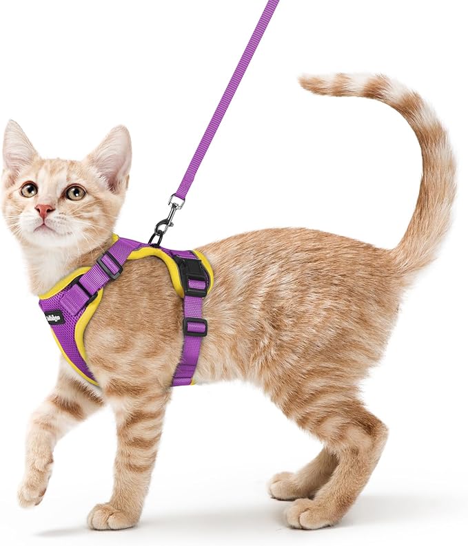 rabbitgoo Cat Harness and Leash Set, Escape Proof Vest, Purple & Yellow | Soft Breathable Mesh, Easy Adjustable Fit, Snap Buckles, Sturdy Clip, Reflective Strips, for Small & Average Cats Walks, Xs