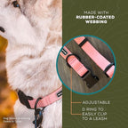 Wilderdog Waterproof Dog Collar - Repels Water & Dirt - Large 17"-24" - Guava