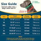 Crazy Felix No Pull Martingale Collar for Large Medium Small Dogs to Train | Walking Collar with Buckle Anti Pull, Fit Pitbull German Shepherd Doberman, Reflective (Black, L-Neck 17-19.25", 1.5" Wide)