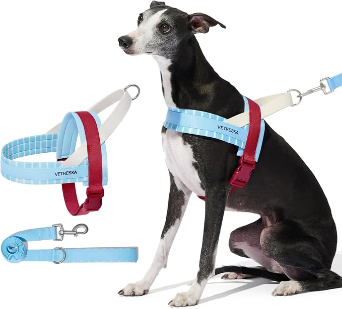 VETRESKA Dog Harness Small Sized Dog, Adjustable No Choke Puppy Harness XS | No Pull, Easy Control Pet Harness Vest for Dogs, Cat, Kitten, Dog Harness with Anti-Tangle Dog Leash Set (Misty Melo)