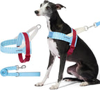 VETRESKA Dog Harness Small Sized Dog, Adjustable No Choke Puppy Harness XS | No Pull, Easy Control Pet Harness Vest for Dogs, Cat, Kitten, Dog Harness with Anti-Tangle Dog Leash Set (Misty Melo)