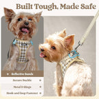 rabbitgoo Dog Harness Medium Sized and Leash Set, Step-in Puppy Pet Vest | Light, Soft, Breathable Air Mesh, Easy on and Remove with Hook & Loop, Secure Reflective for Walking, Beige Check L
