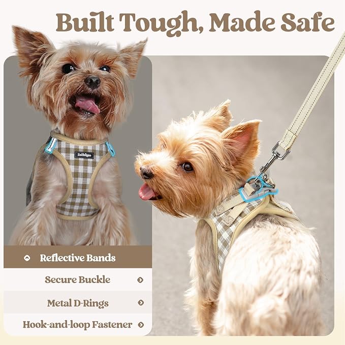 rabbitgoo Dog Harness Medium Sized and Leash Set, Step-in Puppy Pet Vest | Light, Soft, Breathable Air Mesh, Easy on and Remove with Hook & Loop, Secure Reflective for Walking, Beige Check L