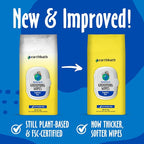 earthbath Hypo-Allergenic Grooming Wipes, Made in USA, 100 Count (2 Pack) | Fragrance Free Dog Wipes for Paws and Butt