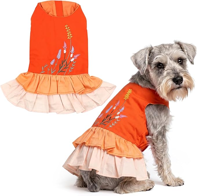 Parisian Pet Dog Dress - Summer Clothes for Large Dogs Girl - Stylish Color Block Pet Dress - Comfortable Designer Dog Outfits - Lightweight and Breathable Puppy Clothes - Garden Dresses for Dogs