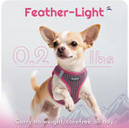Eagloo Small Dog Harness and Leash Set, Step in Extra Small Puppy Pet Vest | Light, Soft, Breathable Air Mesh, Easy on and off with Hook & Loop, Reflective for Safe Walking, Rose Red, XXS
