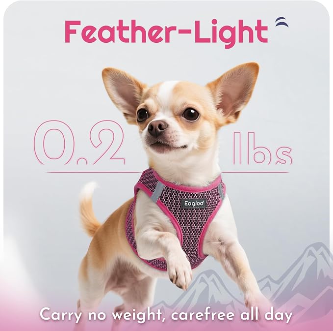 Eagloo Small Dog Harness and Leash Set, Step in Medium Small Puppy Pet Vest | Light, Soft, Breathable Air Mesh, Easy on and off with Hook & Loop, Reflective for Safe Walking, Rose Red, M