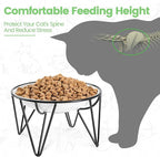 Ceramic Elevated Cat Bowls - Whisker Friendly, Anti-Vomiting Cat Food Plate, Stylish, Safe and Hygienic (Fishboon, 1 Pack)