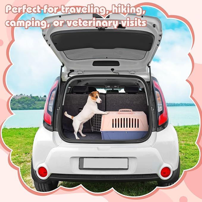 2 Set 18.9" Pet Carrier for Small Cats and Dogs, Hard Sided Plastic Cat Kennel for Pet with Front Door Security Lock Fully Breathable Travel Crate, up to 13 Lbs(Blue,18.9 x 12.6 x 11.8 Inch)